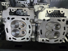 OEM CANAM MAVERICK HEADS ( USED SET)