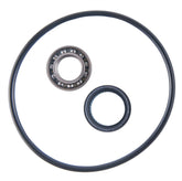 Honda TRX350 TRX400 Rear Axle Carrier Bearing & Seal Kit 1995 - 2007, 2020-2021