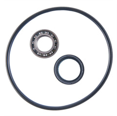 Honda TRX350 TRX400 Rear Axle Carrier Bearing & Seal Kit 1995 - 2007, 2020-2021