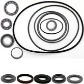 Suzuki Ozark Quadsport 250 Rear Differential Bearing & Seal Kit 2002 - 2014