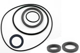 Kawasaki Bayou 220 250 Rear Differential Seal Kit 1988 - 2011