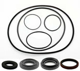 Suzuki Ozark Quadsport 250 Rear Differential Seal Kit 2002 - 2014