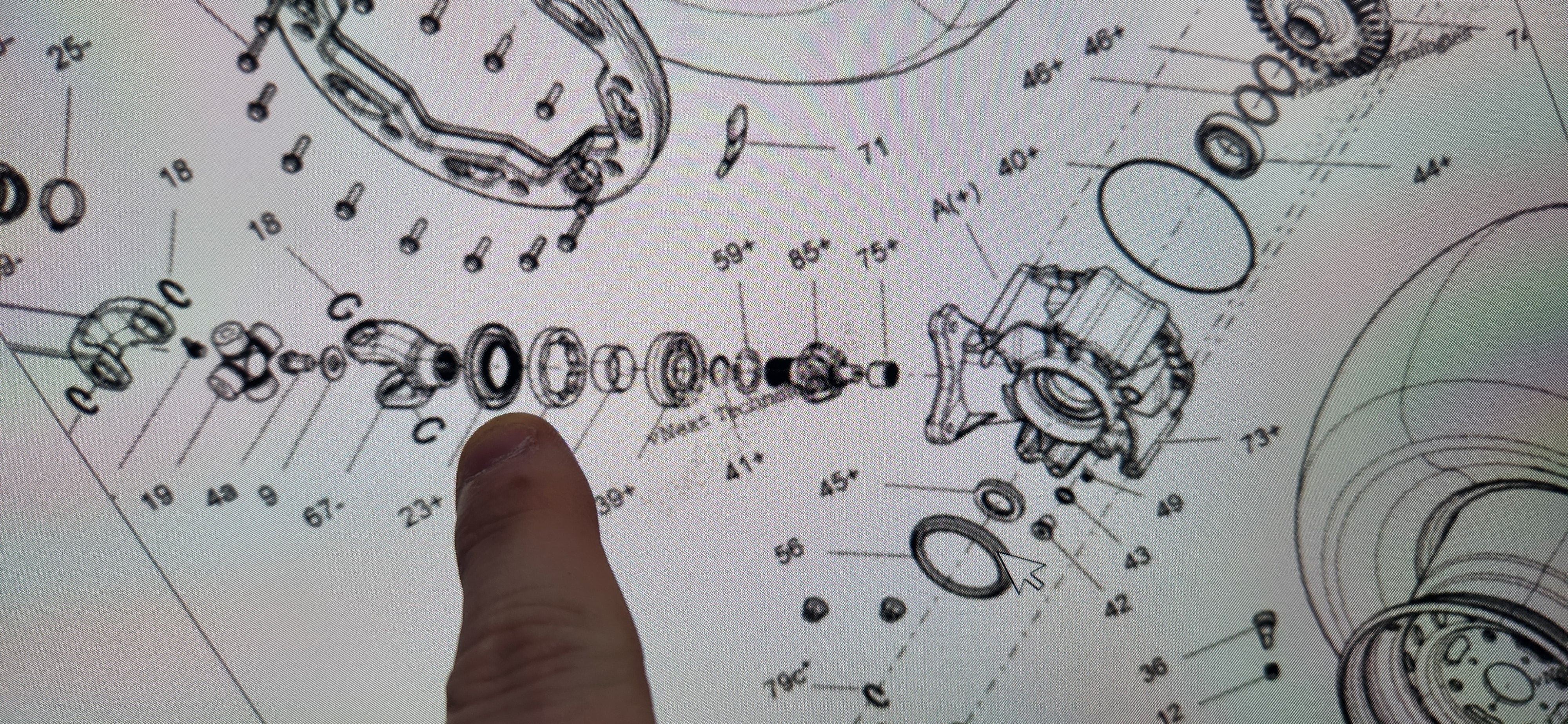 Canam front differential oil seal (see fitment in description)