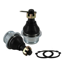 Suzuki Twin Peaks 700 lower Ball Joint set