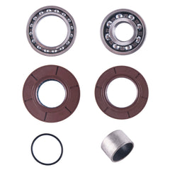 Polaris Sportsman 550 Rear Differential Bearing & Seal Kit 2009 ONLY