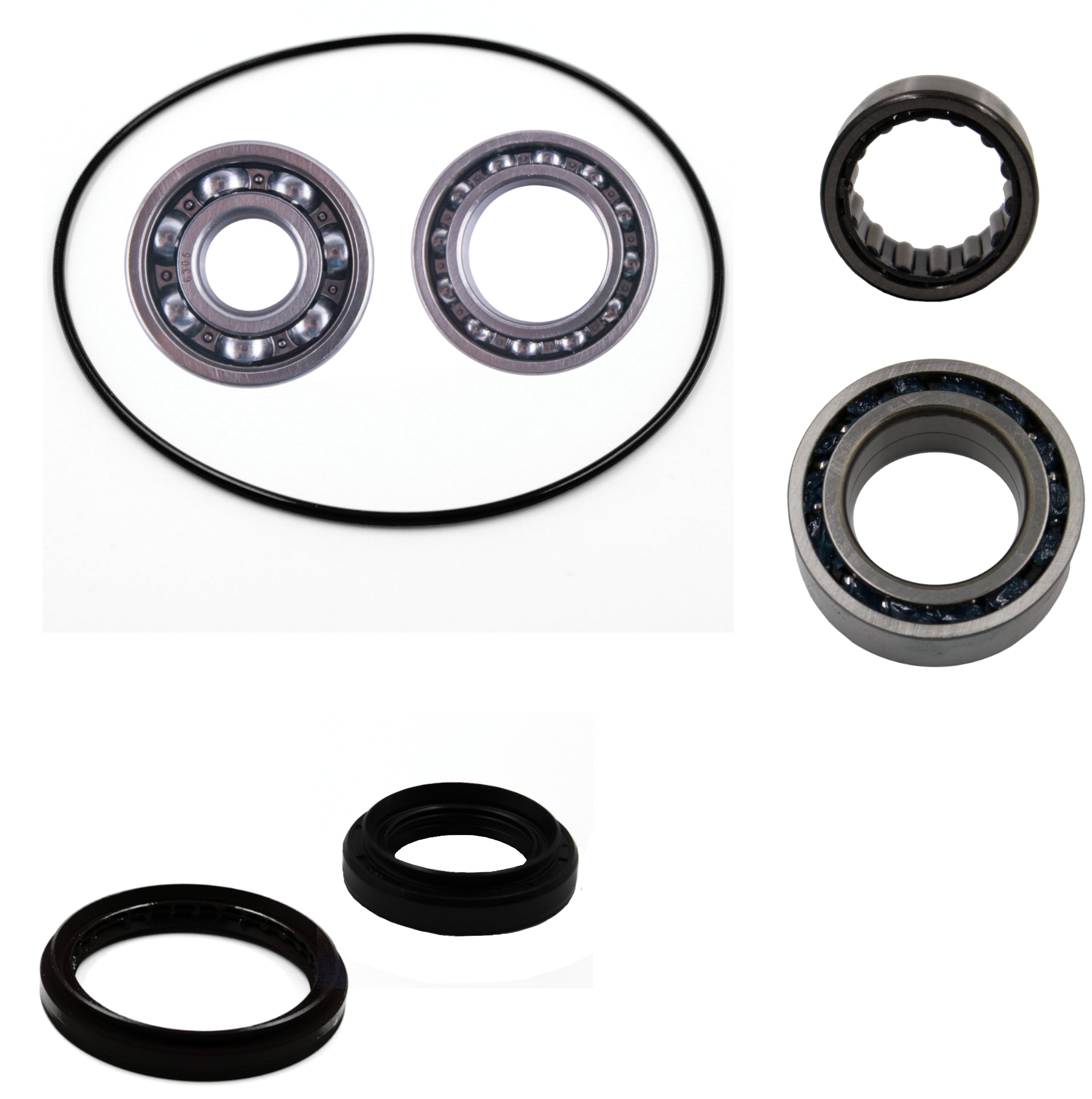 Arctic Cat 250 300 2X4 Rear differential bearing & seal kit