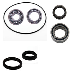 Arctic Cat 250 300 2X4 Rear differential bearing & seal kit